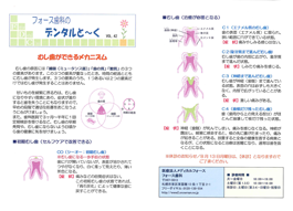 デンタルと～く　VOL.42