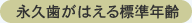 永久歯がはえる標準年齢