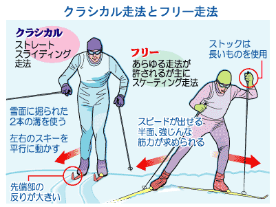 スキーテクニックの概要